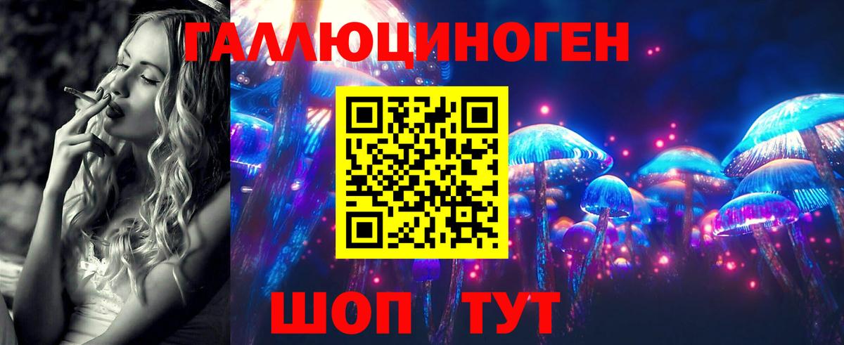 Рославль  Псилоцибиновые грибы MAGIC MUSHROOMS  Вход с VPN 